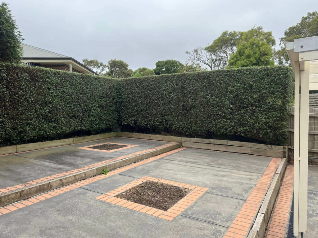 A trimmed box hedge in a Frankston courtyard