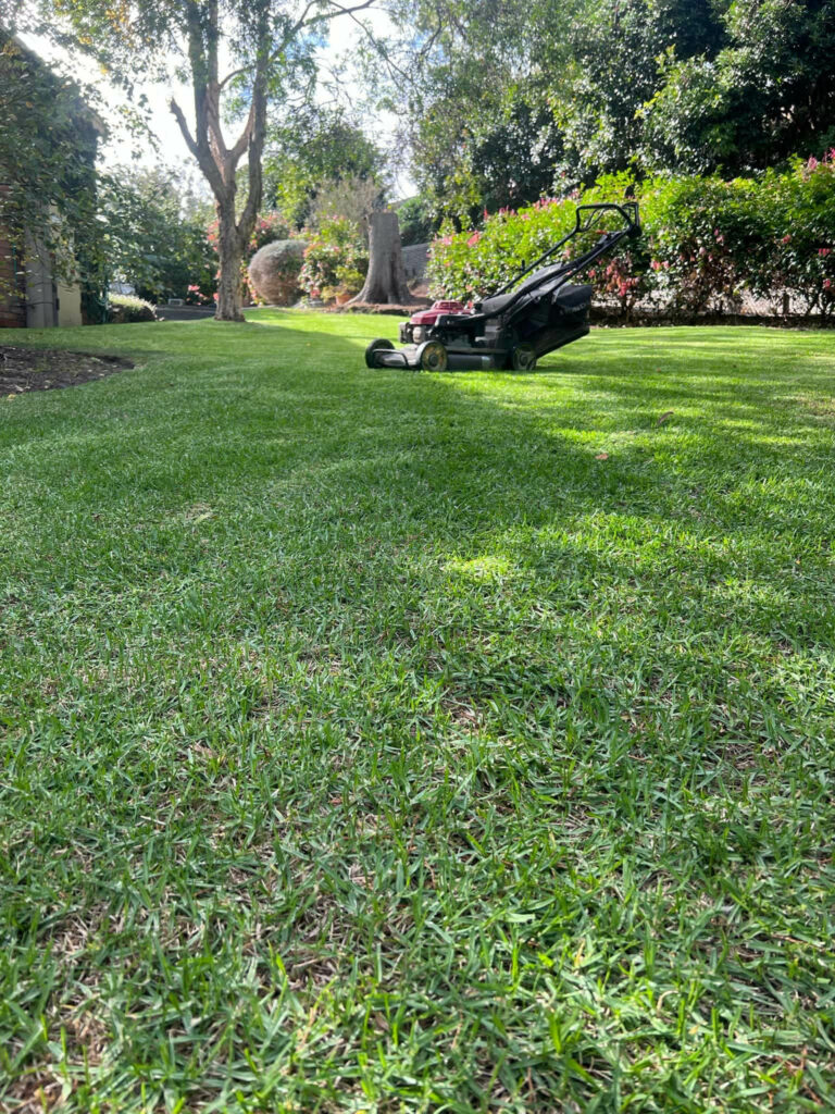 Hand Mower on a backyard lawn