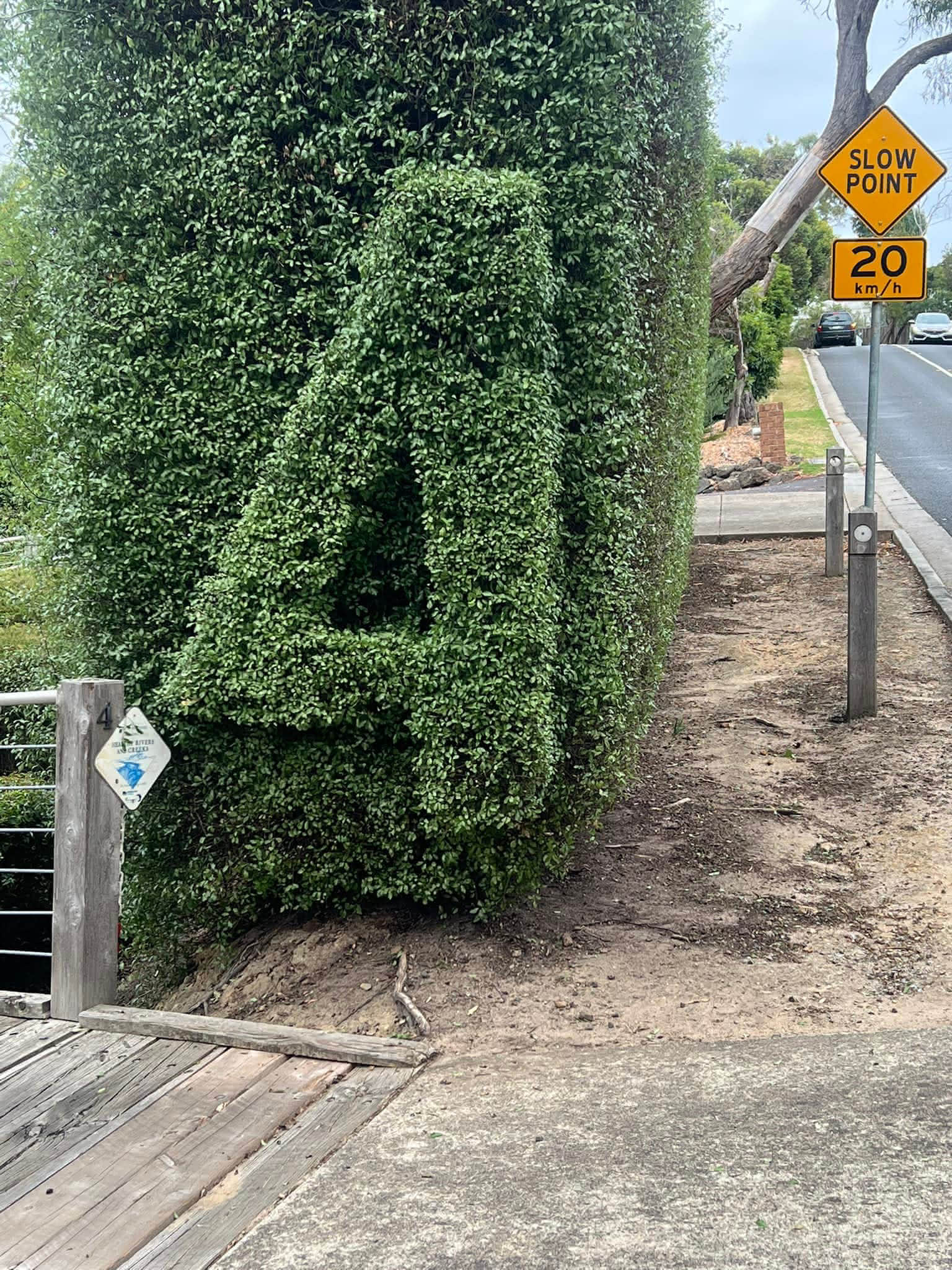 Custom hedge trimming