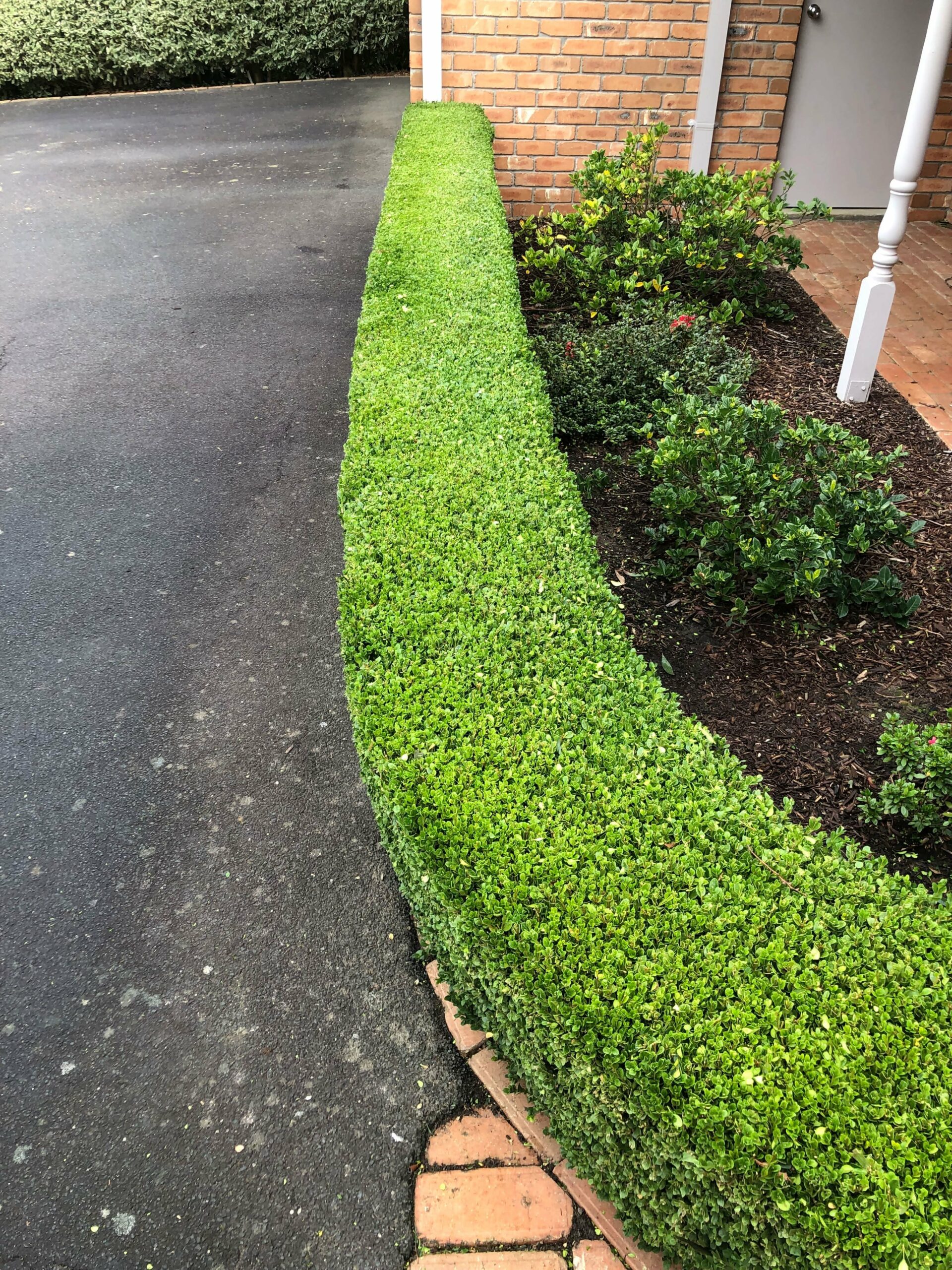 Short box hedge